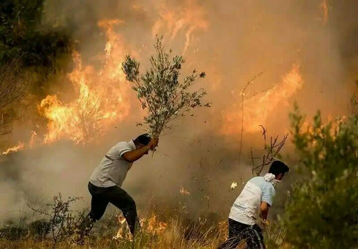 لرستان و معادله پیچیده تابستان؛ حریقهایی که همه منشأ انسانی دارند
