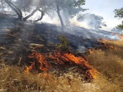 مهار کامل آتش‌سوزی در ارتفاعات باباکوهی شیراز
