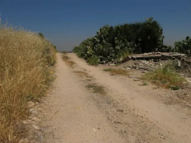 پیراهنهای سوزن دوزی شده «قطره» نام دیگر فلسطین است رژیم صهیونیستی (اسرائیل) , شهرک سازی رژیم صهیونیستی اسرائیل , اسرای فلسطینی , احتلال فلسطین عام 1948 , النازحین الفلسطینیین , کشور فلسطین , المقاومه الفلسطینیه , النکبه ,