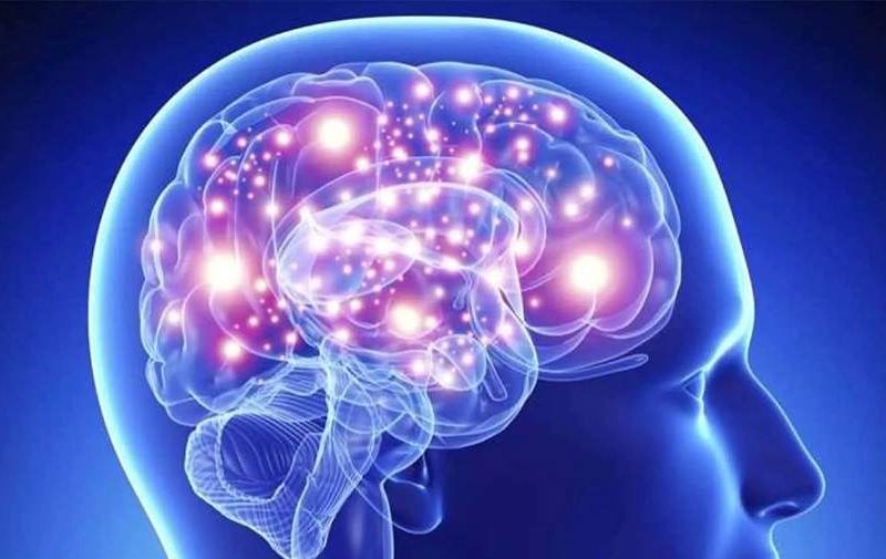 به چه علت مغز اشتباهات را توجیه می‌کند؟