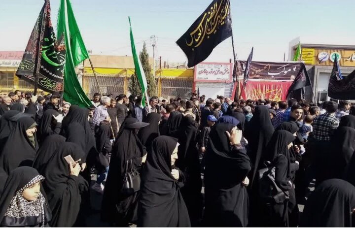 دلدادگان حسینی، حماسهای دوباره در مسیر عشق رضوی آفریدند