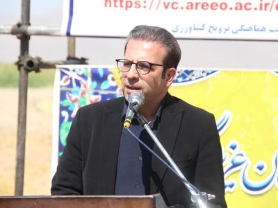 کاشت ۱۶۰ هکتار آفتاب‌گردان در دورود برای نخستین‌بار