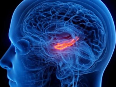 کوچک شدن مرکز حافظه مغز در افراد افسرده