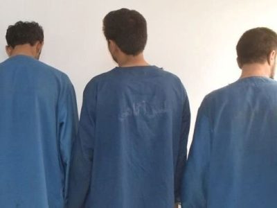 دستگیری سارقان حرفه‌ای در بوشهر؛ ۱۹ فقره سرقت  کشف شد