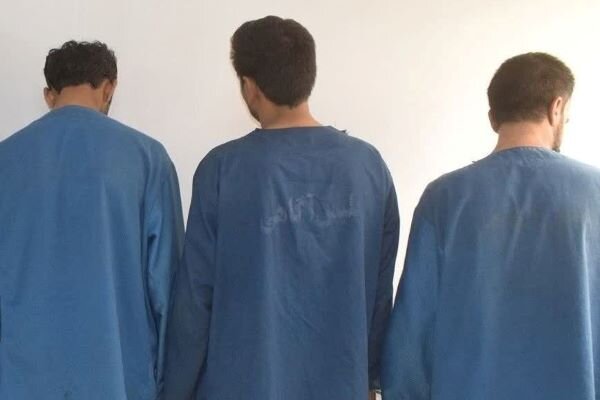 دستگیری سارقان حرفه‌ای در بوشهر؛ ۱۹ فقره سرقت  کشف شد